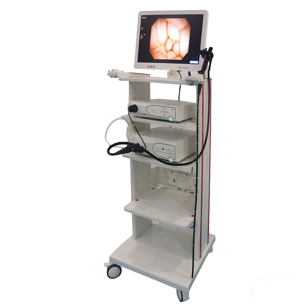 Electronic gastrointestinal endoscope